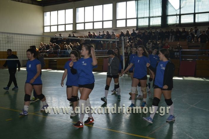 volley_1o-alexandreias-melikis2018 (91)